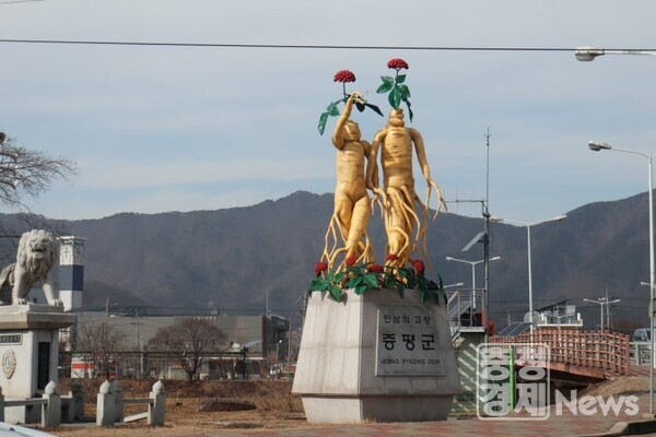 “증평 인삼으로 여름 정복하고, 계(鷄)이득 챙기세요”